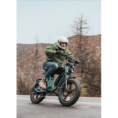 ENGWE M20 Batteries Doubles VTT Électrique Fat Bike Tout Suspendu - Style Moto