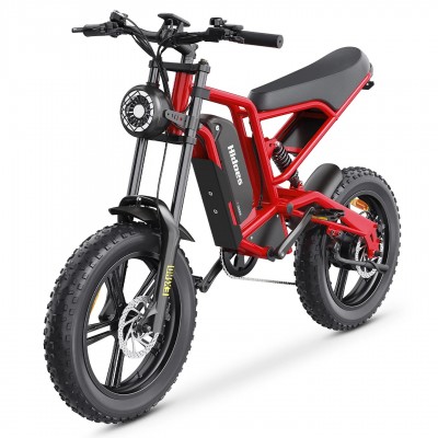 Hidoes B6 1200W motor 48V 15.6Ah battery speed 50km/h long endurance 20*4.0 wide tire 7 speed IP54 off-road electric bicycle
