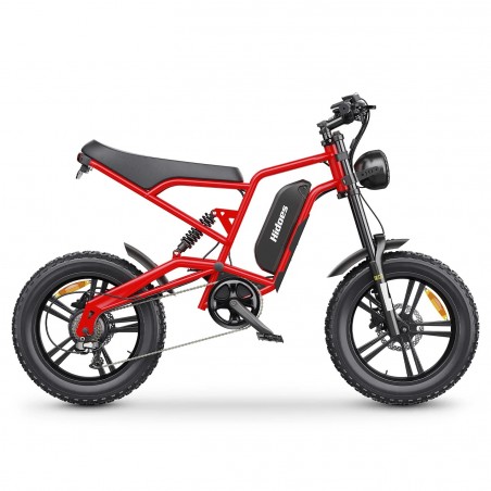 Hidoes B6 1200W motor 48V 15.6Ah battery speed 50km/h long endurance 20*4.0 wide tire 7 speed IP54 off-road electric bicycle