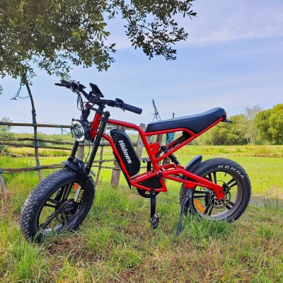 Hidoes B6 1200W moteur 48V 15.6Ah batterie vitesse 50km/h longue endurance 20*4.0 pneu large 7 vitesse IP54 vélo électrique tout