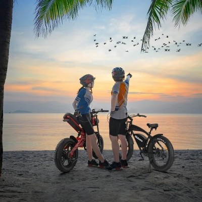 Hidoes B6 1200W motor 48V 15.6Ah battery speed 50km/h long endurance 20*4.0 wide tire 7 speed IP54 off-road electric bicycle