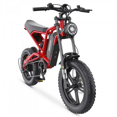 Hidoes B6 1200W motor 48V 15.6Ah battery speed 50km/h long endurance 20*4.0 wide tire 7 speed IP54 off-road electric bicycle