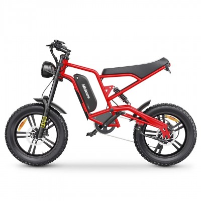 Hidoes B6 1200W motor 48V 15.6Ah battery speed 50km/h long endurance 20*4.0 wide tire 7 speed IP54 off-road electric bicycle