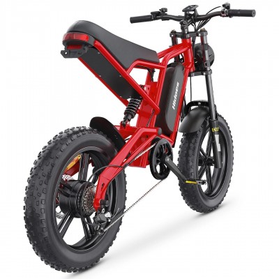 Hidoes B6 1200W moteur 48V 15.6Ah batterie vitesse 50km/h longue endurance 20*4.0 pneu large 7 vitesse IP54 vélo électrique tout