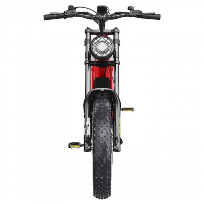Hidoes B6 1200W motor 48V 15.6Ah battery speed 50km/h long endurance 20*4.0 wide tire 7 speed IP54 off-road electric bicycle