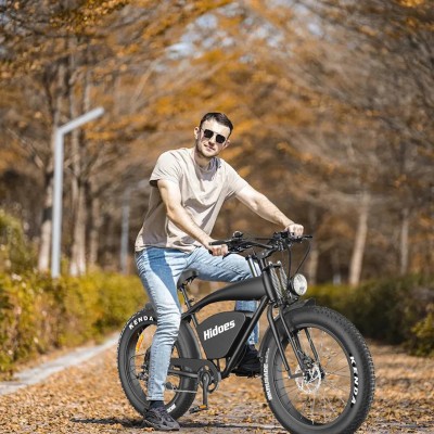 Hidoes B3 1200W Motor 48V 18.2Ah Battery Speed 60 km/h Long Range 96km Fat Tire Cruiser Electric Bike