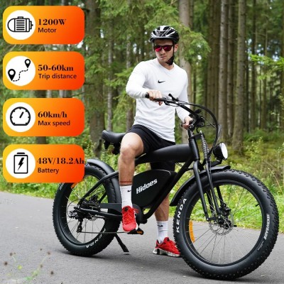 Hidoes B3 1200W Motor 48V 18.2Ah Akku Geschwindigkeit 60 km/h Lange Reichweite 96km Fat Tire Cruiser Elektrofahrrad