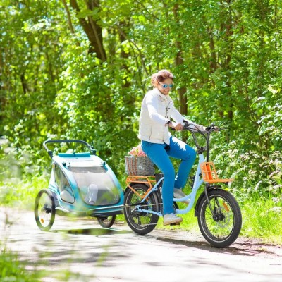 Hidoes C6 Commuter Elektrofahrrad, 350W Elektrofahrrad