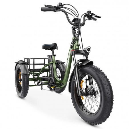 Hidoes ET1 750W 48V 20Ah 25-40 KM/H Off road all terrain fat tire electric trike Elektro-Dreirad