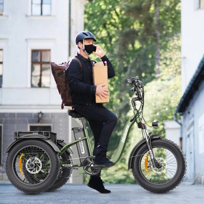 Hidoes ET1 750W 48V 20Ah 25-40 KM/H Off road all terrain fat tire electric trike Electric tricycle