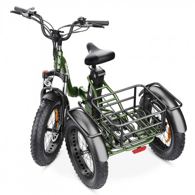 Hidoes ET1 750W 48V 20Ah 25-40 KM/H Off road all terrain fat tire electric trike Elektro-Dreirad