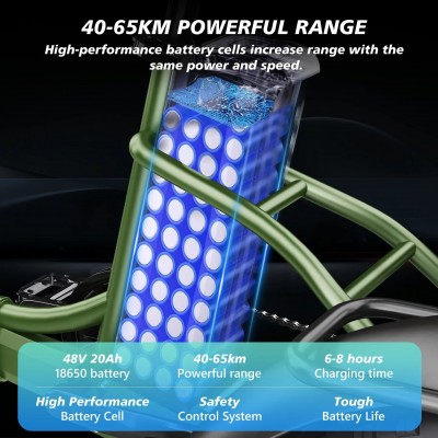 Hidoes ET1 750W 48V 20Ah 25-40 KM/H Off road all terrain fat tire electric trike Elektro-Dreirad