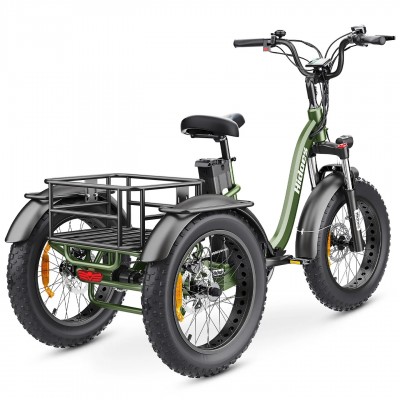 Hidoes ET1 750W 48V 20Ah 25-40 KM/H Off road all terrain fat tire electric trike Elektro-Dreirad