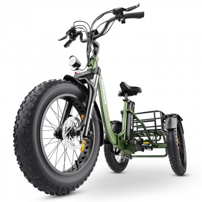 Hidoes ET1 750W 48V 20Ah 25-40 KM/H Off road all terrain fat tire electric trike Electric tricycle