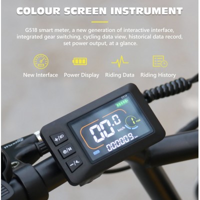 Hidoes C8 Gelbes Elektrofahrrad, 700W Off-Road Fat Tire eBike mit 48V 17Ah Akku,