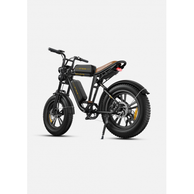 ENGWE M20 Batteries Doubles VTT Électrique Fat Bike Tout Suspendu - Style Moto
